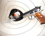 Why a Good Shot is Not Necessarily a Good Role Model